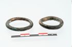 Foto von Bronzering (NHMW-PRAE-025287)